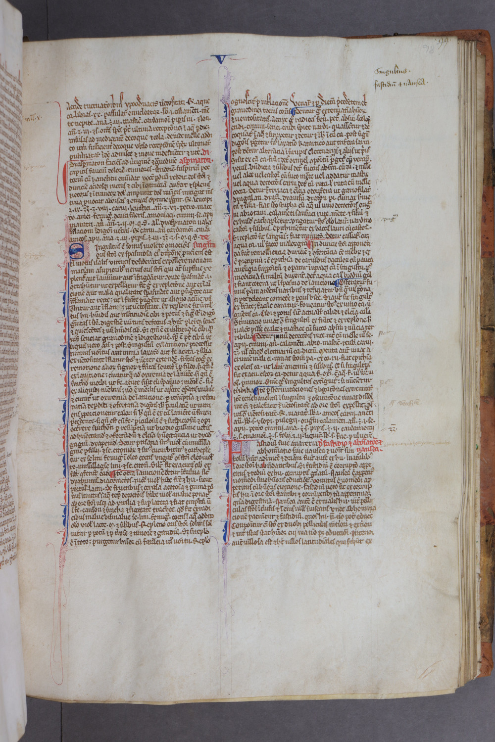Folio 98 recto